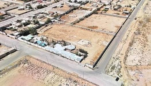 Residential Land for Rent in Al Butain Farms, Qswr Al Muqbil - Residential land For Rent Al Butain Farms, Qswr Al Muqbil
