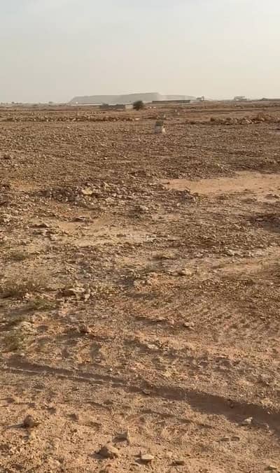 Land for Sale in South Riyadh, Riyadh - Land in South Riyadh，Uraidh 280000 SAR - 87673367
